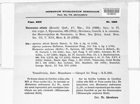 Image Associated With the Occurence